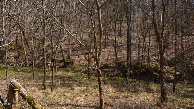 912 Cooley King Road, Kodak, TN 37764