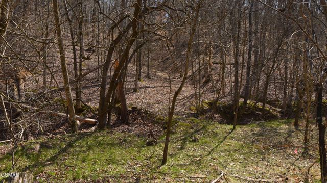 912 Cooley King Road, Kodak, TN 37764