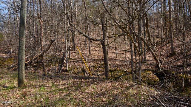 912 Cooley King Road, Kodak, TN 37764