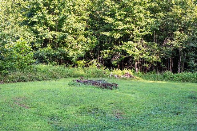 173 Fern Ct, Buchanan, TN 38222