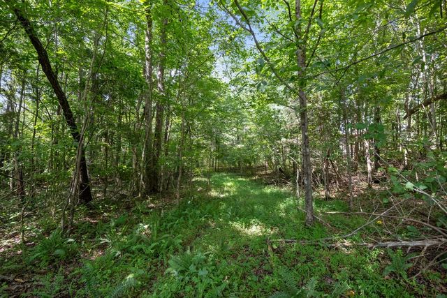173 Fern Ct, Buchanan, TN 38222