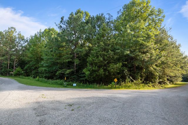 173 Fern Ct, Buchanan, TN 38222