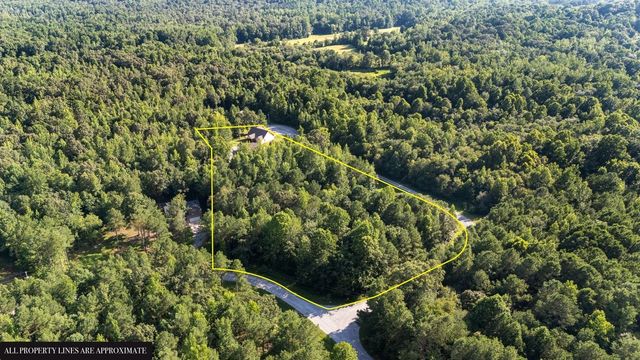 173 Fern Ct, Buchanan, TN 38222