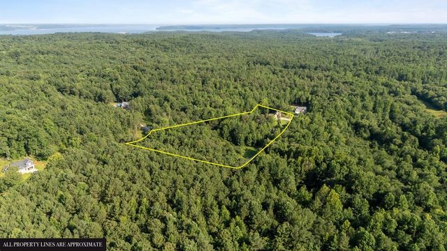 173 Fern Ct, Buchanan, TN 38222