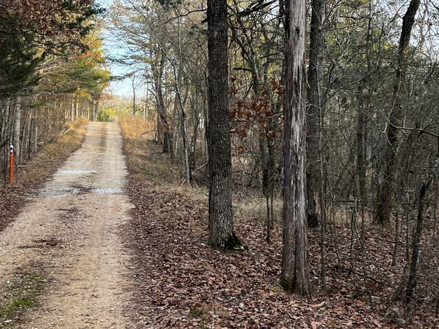 000 Cougar Lane, Eagle Rock, MO 65641