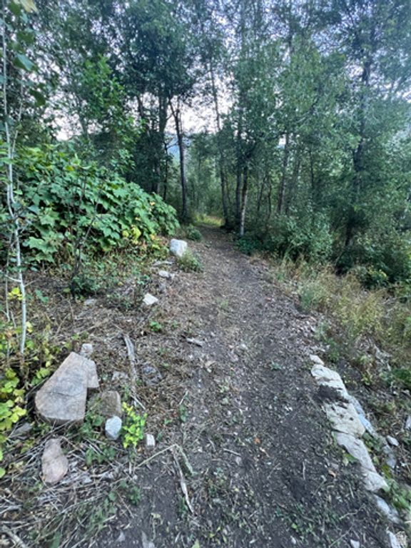 2412 TWIST DR, Midway, UT 84049 — photo 4