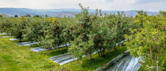 0 N Quincy Avenue, East Wenatchee, WA 98802