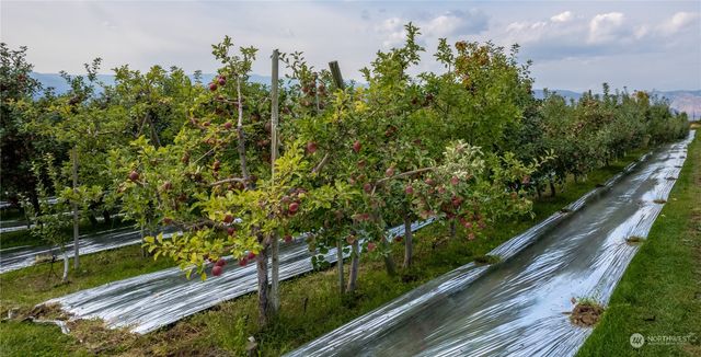 0 N Quincy Avenue, East Wenatchee, WA 98802