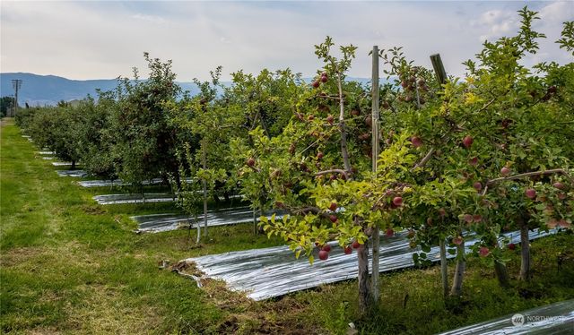 0 N Quincy Avenue, East Wenatchee, WA 98802