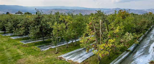 0 N Quincy Avenue, East Wenatchee, WA 98802