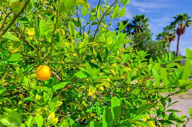 3125 Shadowleaf Court, Las Vegas, NV 89117