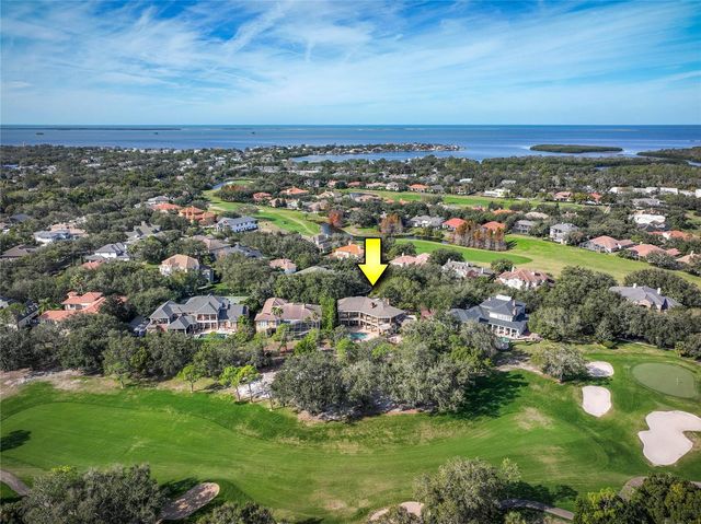 1151 TINLEY COURT, Palm Harbor, FL 34683