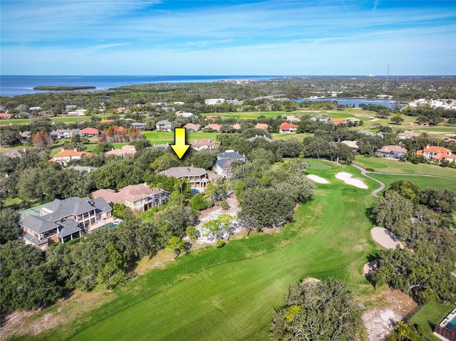 1151 TINLEY COURT, Palm Harbor, FL 34683