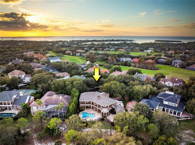 1151 TINLEY COURT, Palm Harbor, FL 34683