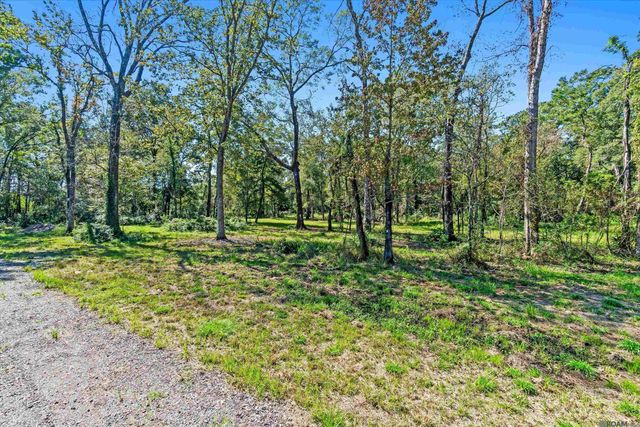 TBD Banway Dr, Central, LA 70739