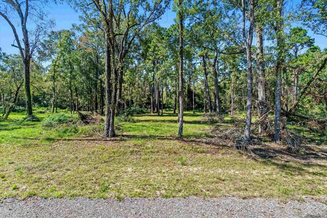 TBD Banway Dr, Central, LA 70739
