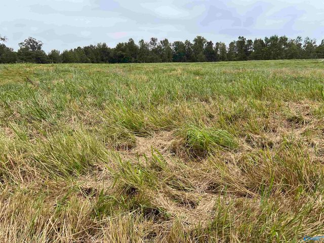 21512 Holland Road, Athens, AL 35614