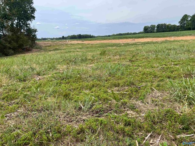 21512 Holland Road, Athens, AL 35614