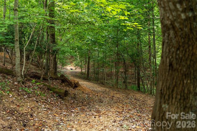 16 Holmes Lane, Arden, NC 28704