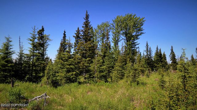 D23 Alaskan Wildwood Ranch(r), Nikolaevsk, AK 99556