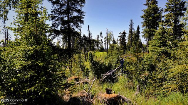 D23 Alaskan Wildwood Ranch(r), Nikolaevsk, AK 99556