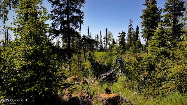D23 Alaskan Wildwood Ranch(r), Nikolaevsk, AK 99556