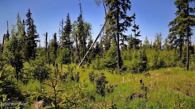 D23 Alaskan Wildwood Ranch(r), Nikolaevsk, AK 99556