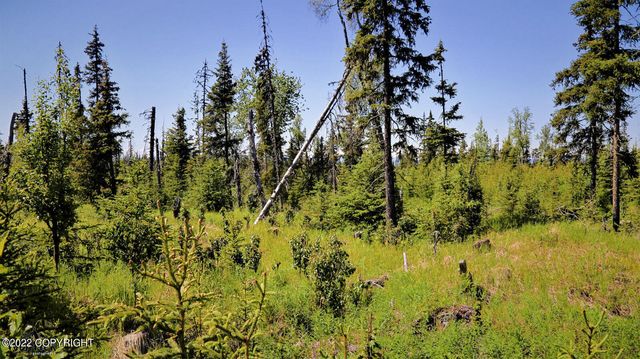 D23 Alaskan Wildwood Ranch(r), Nikolaevsk, AK 99556