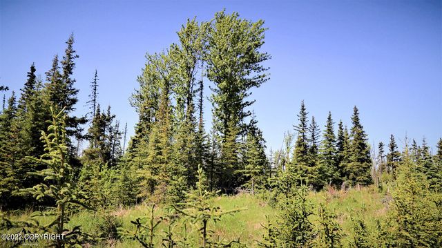 D23 Alaskan Wildwood Ranch(r), Nikolaevsk, AK 99556