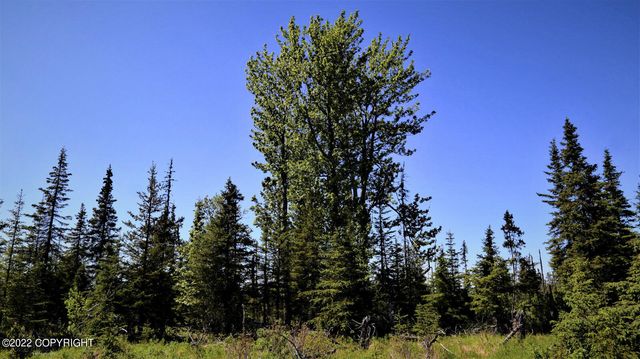 D23 Alaskan Wildwood Ranch(r), Nikolaevsk, AK 99556