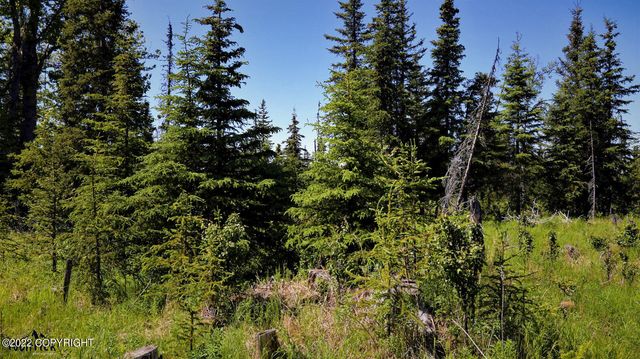 D23 Alaskan Wildwood Ranch(r), Nikolaevsk, AK 99556