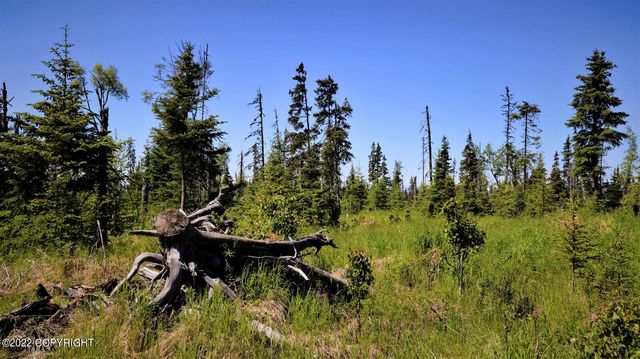 D23 Alaskan Wildwood Ranch(r), Nikolaevsk, AK 99556