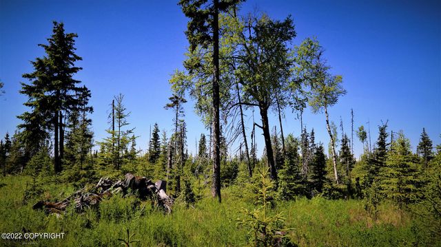 D23 Alaskan Wildwood Ranch(r), Nikolaevsk, AK 99556