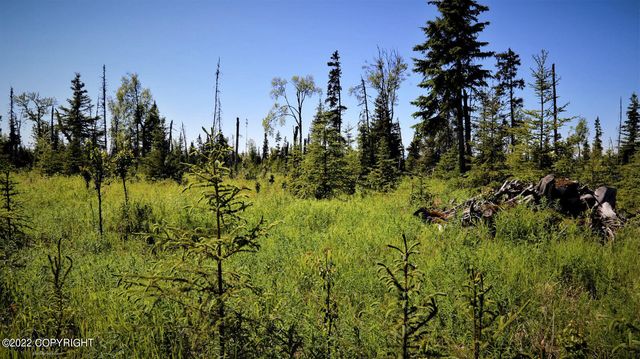 D23 Alaskan Wildwood Ranch(r), Nikolaevsk, AK 99556