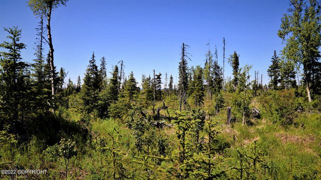 D23 Alaskan Wildwood Ranch(r), Nikolaevsk, AK 99556