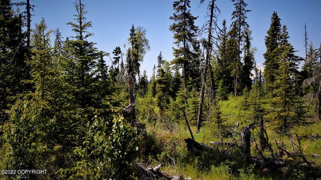 D23 Alaskan Wildwood Ranch(r), Nikolaevsk, AK 99556