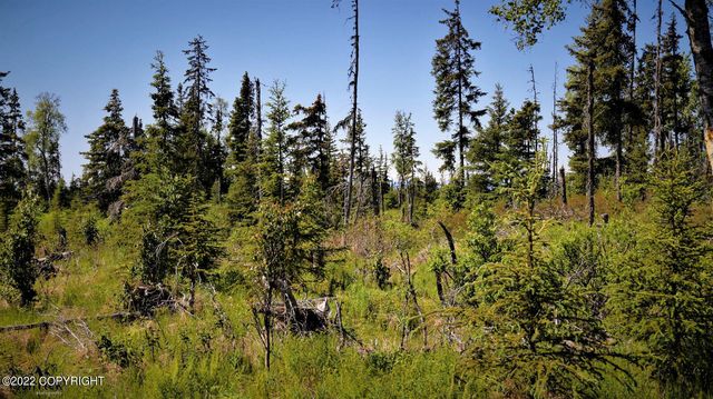 D23 Alaskan Wildwood Ranch(r), Nikolaevsk, AK 99556
