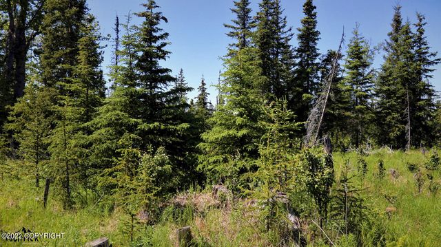 D23 Alaskan Wildwood Ranch(r), Nikolaevsk, AK 99556