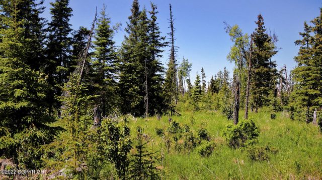 D23 Alaskan Wildwood Ranch(r), Nikolaevsk, AK 99556