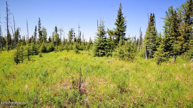 D23 Alaskan Wildwood Ranch(r), Nikolaevsk, AK 99556