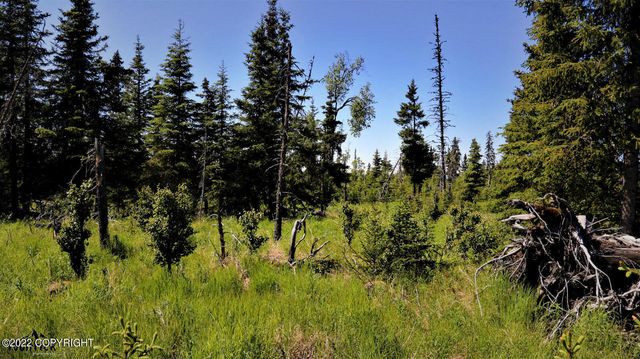 D23 Alaskan Wildwood Ranch(r), Nikolaevsk, AK 99556