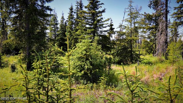 D23 Alaskan Wildwood Ranch(r), Nikolaevsk, AK 99556
