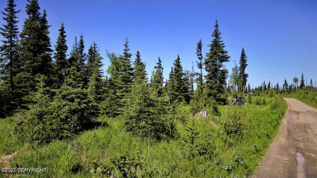 D23 Alaskan Wildwood Ranch(r), Nikolaevsk, AK 99556