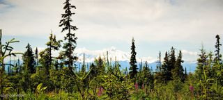 D23 Alaskan Wildwood Ranch(r), Nikolaevsk, AK 99556
