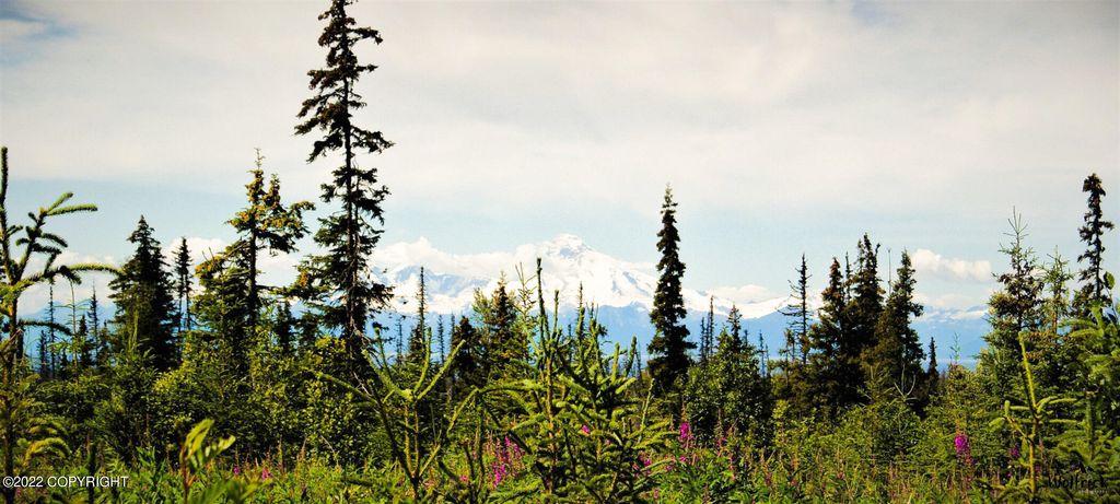 D23 Alaskan Wildwood Ranch(r), Nikolaevsk, AK 99556