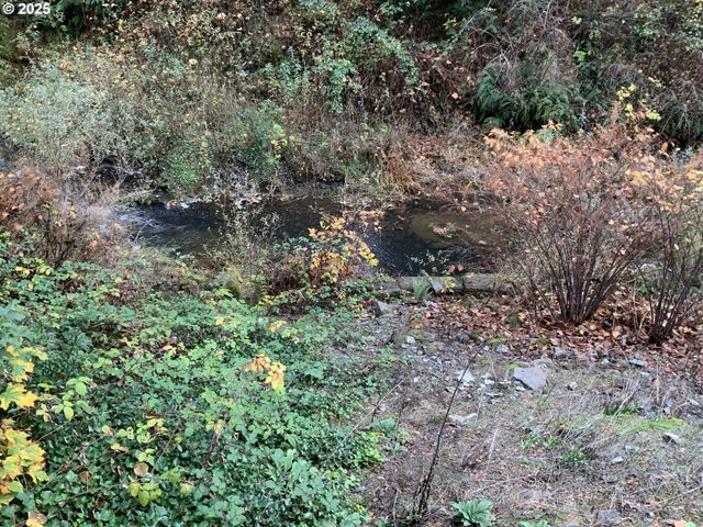 32700 Se LEEWOOD Ln 29A, Boring, OR 97009