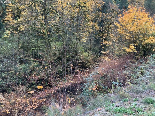 32700 Se LEEWOOD Ln 29A, Boring, OR 97009