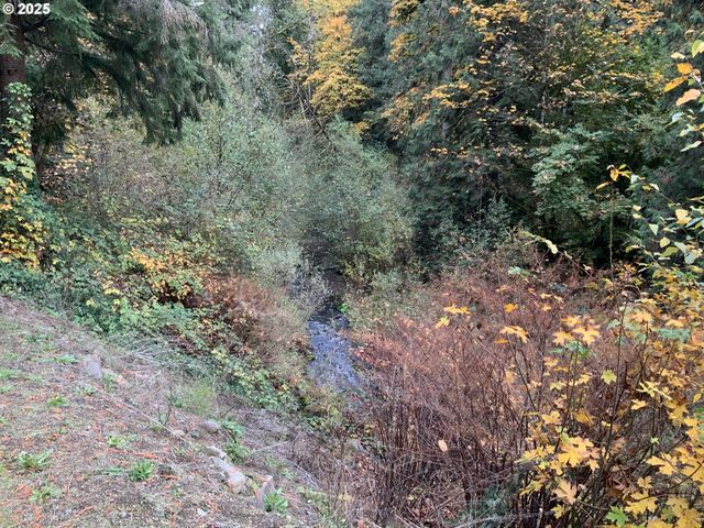 32700 Se LEEWOOD Ln 29A, Boring, OR 97009