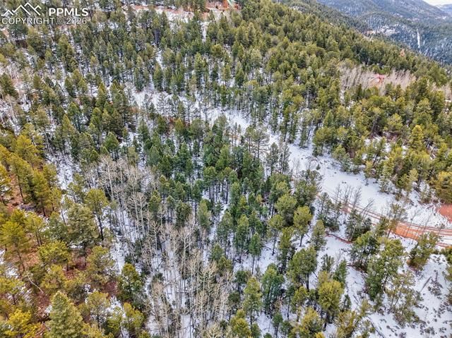 165 Witherite Drive, Divide, CO 80814