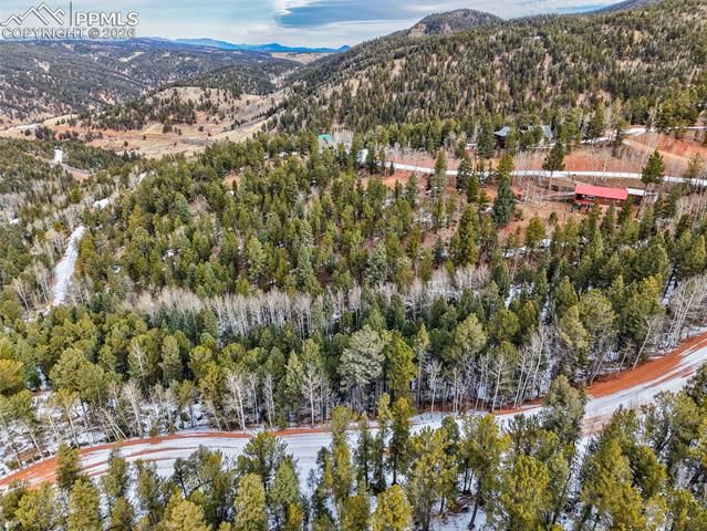 165 Witherite Drive, Divide, CO 80814